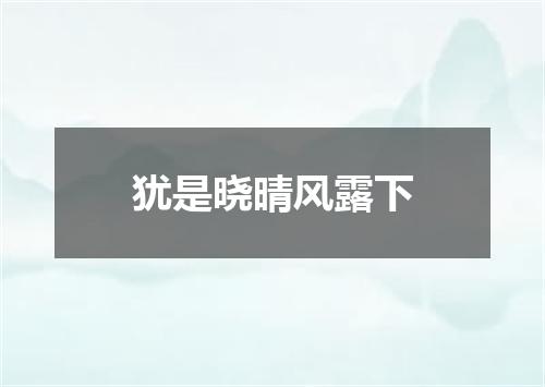 犹是晓晴风露下