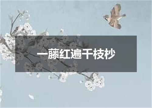 一藤红遍千枝杪