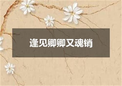 逢见卿卿又魂销