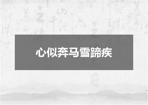 心似奔马雪蹄疾