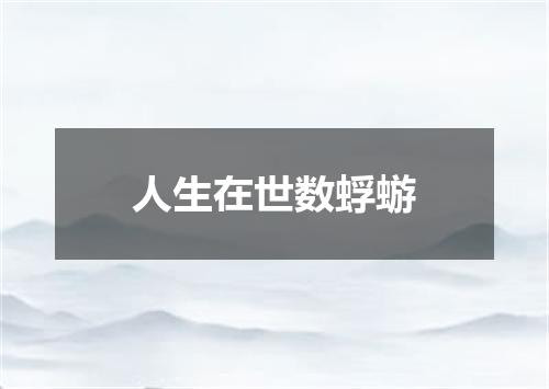 人生在世数蜉蝣