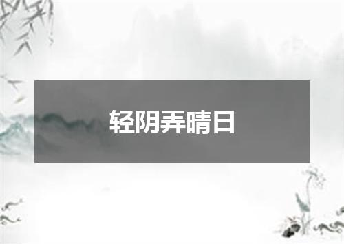 轻阴弄晴日