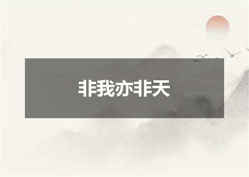 非我亦非天