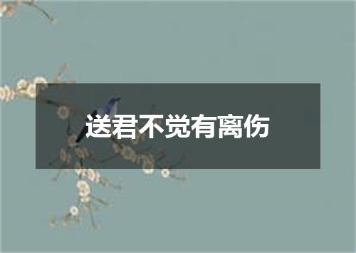 送君不觉有离伤