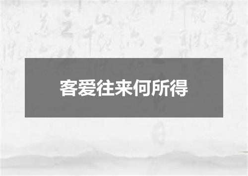 客爱往来何所得