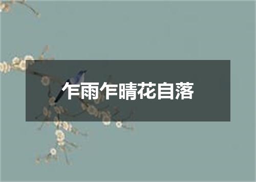 乍雨乍晴花自落