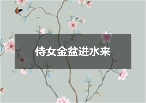 侍女金盆进水来