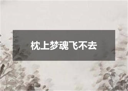 枕上梦魂飞不去