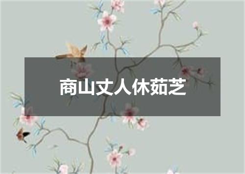 商山丈人休茹芝
