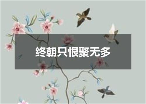 终朝只恨聚无多