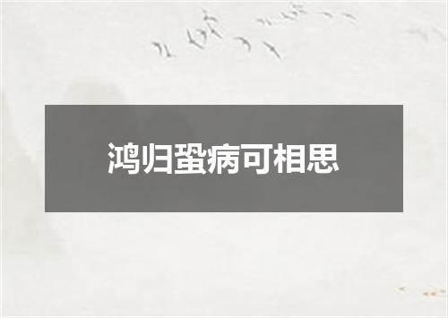鸿归蛩病可相思