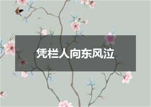 凭栏人向东风泣