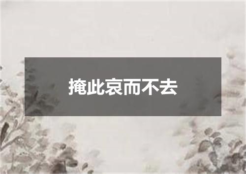 掩此哀而不去