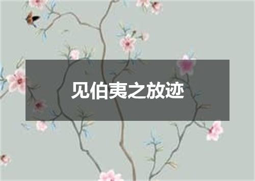 见伯夷之放迹