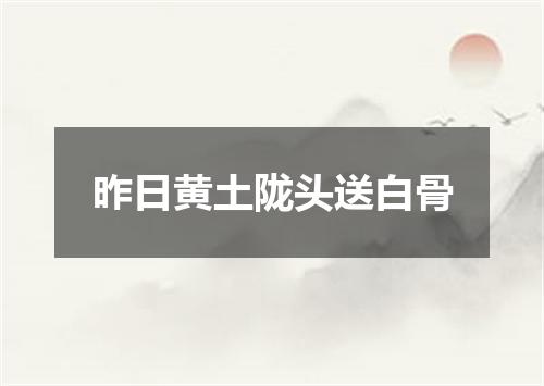 昨日黄土陇头送白骨