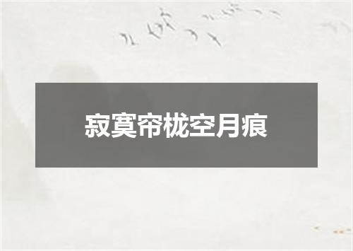 寂寞帘栊空月痕
