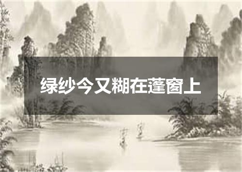 绿纱今又糊在蓬窗上