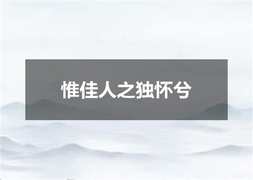 惟佳人之独怀兮
