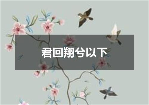 君回翔兮以下
