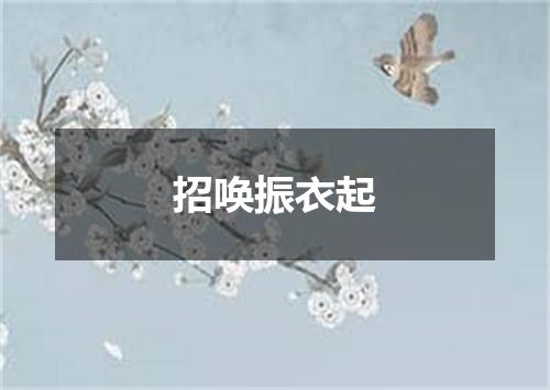 招唤振衣起