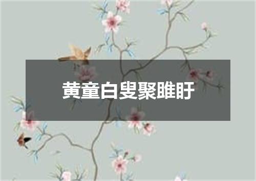 黄童白叟聚雎盱