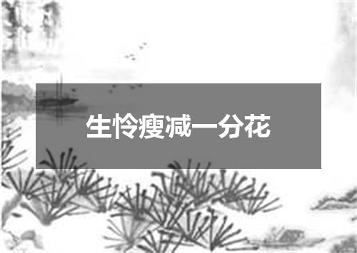 生怜瘦减一分花