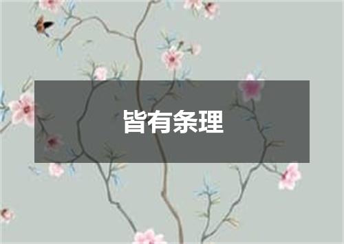 皆有条理
