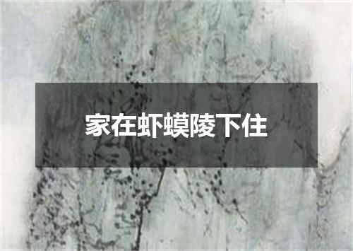 家在虾蟆陵下住