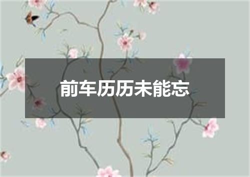 前车历历未能忘