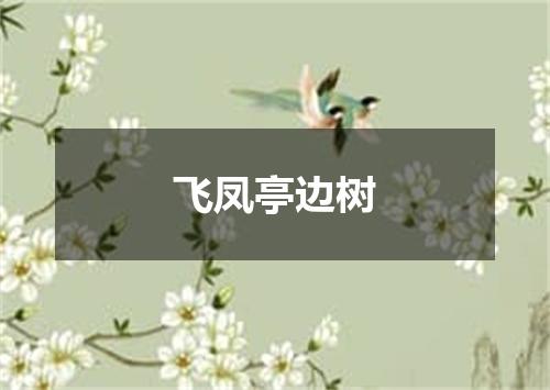 飞凤亭边树