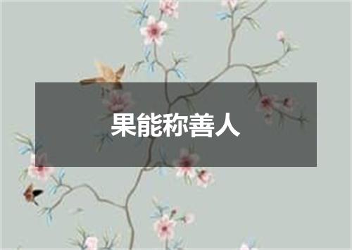 果能称善人