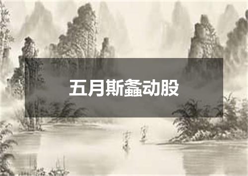 五月斯螽动股