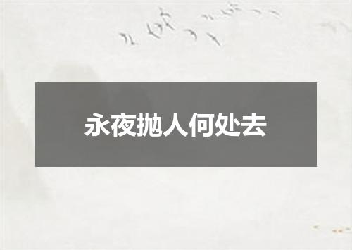 永夜抛人何处去