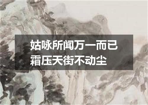 姑咏所闻万一而已霜压天街不动尘