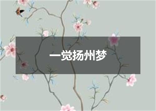 一觉扬州梦