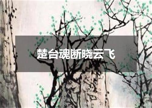 楚台魂断晓云飞