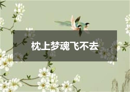 枕上梦魂飞不去