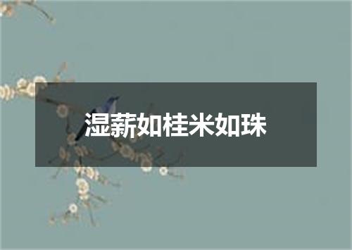 湿薪如桂米如珠