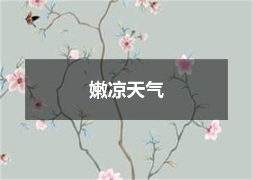 嫩凉天气
