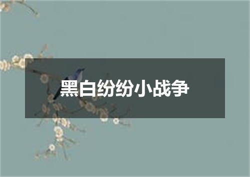 黑白纷纷小战争