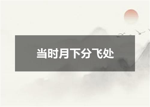当时月下分飞处
