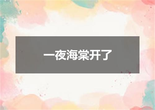 一夜海棠开了