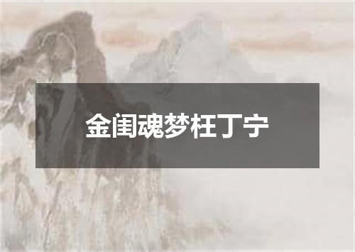 金闺魂梦枉丁宁