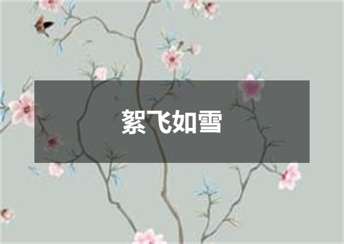 絮飞如雪