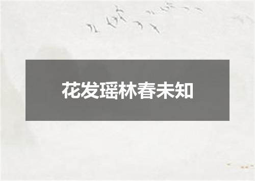 花发瑶林春未知