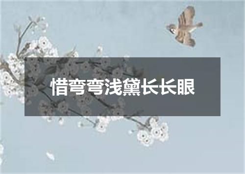 惜弯弯浅黛长长眼