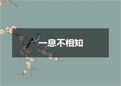 一息不相知