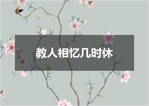教人相忆几时休