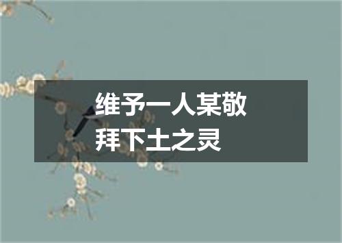 维予一人某敬拜下土之灵