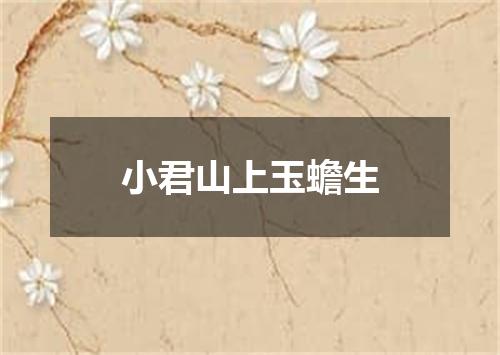 小君山上玉蟾生